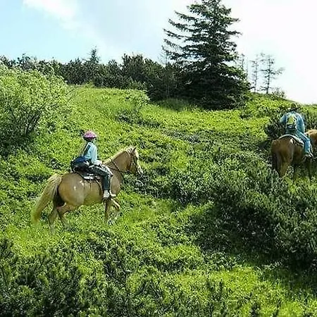 Penzion Felici Park *