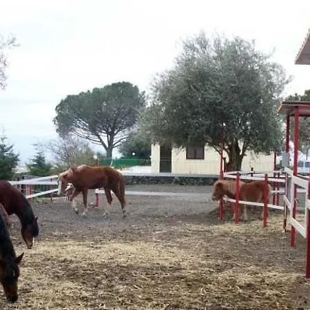 Felici Park *