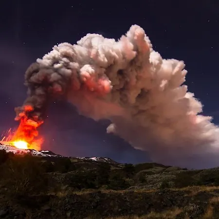 Felici Park Gæstehus *