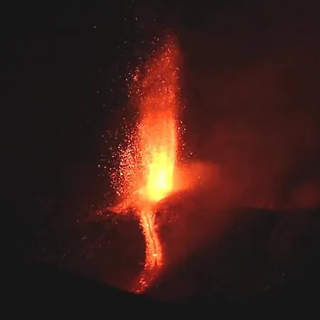 Felici Park Gæstehus