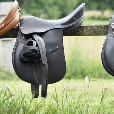 Gæstehus Felici Park