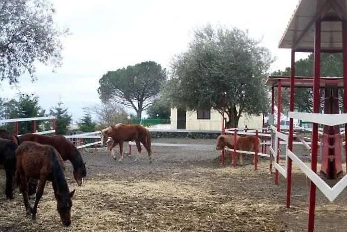 Felici Park *
